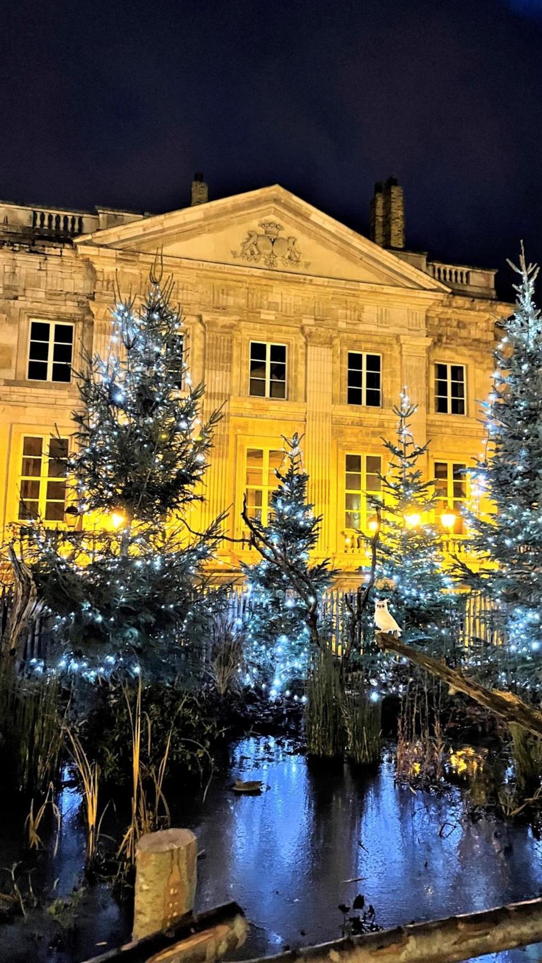 Cocon lumineux proche de la ville fortifiée et de Nausicaa Boulogne-sur-Mer Exterior foto
