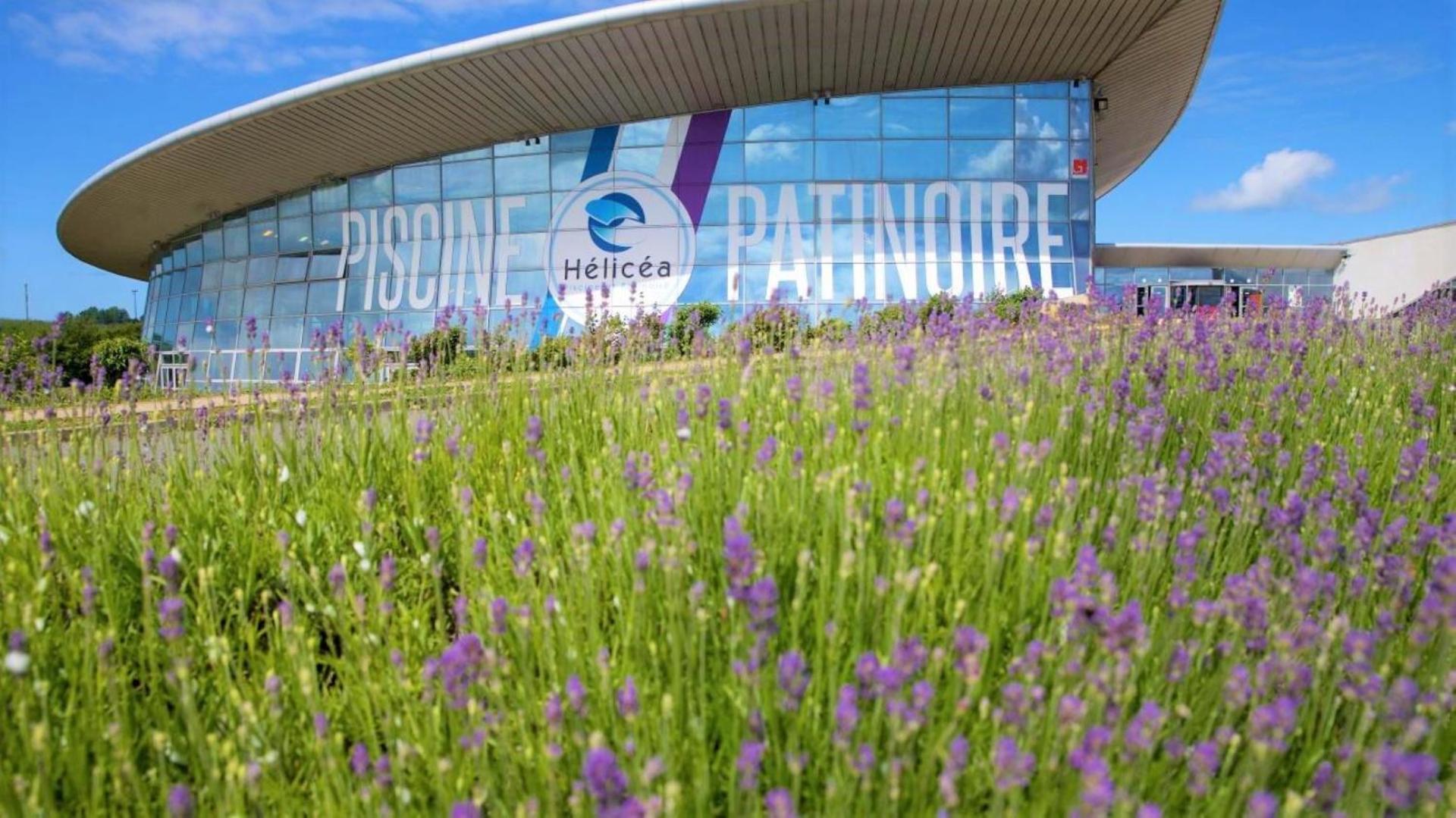 Cocon lumineux proche de la ville fortifiée et de Nausicaa Boulogne-sur-Mer Exterior foto